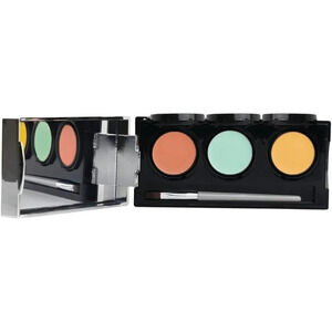 Dermaflage Color Corrector Palette, 5  Colors with Brush Makeup, Concealer, 10g